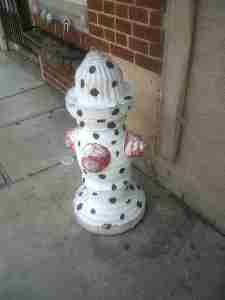 IMG00433-20110807-1123